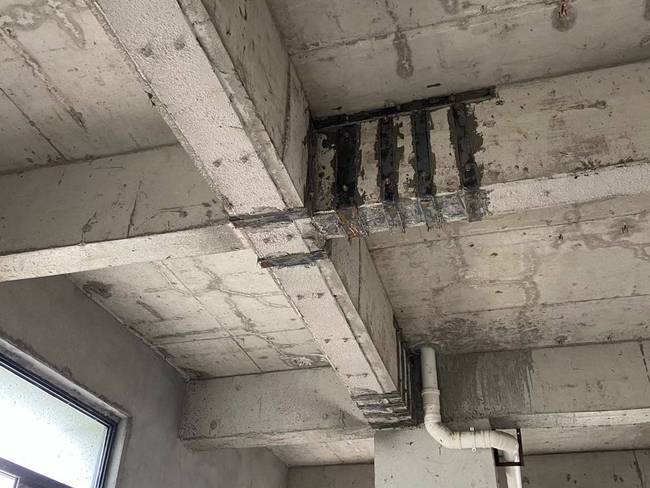 1724819444121640.jpg 5e8456cb538fe5e6d5f5e8383ebf99c.jpg